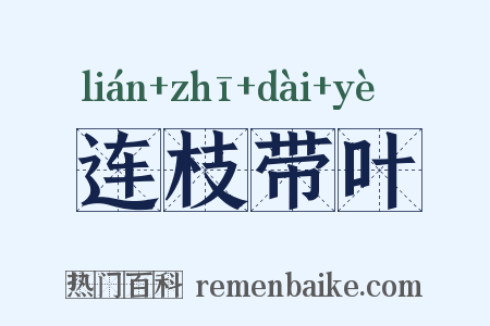 连枝带叶是什么意思的图片